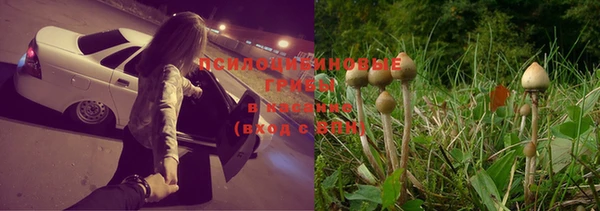 дурь Лагань