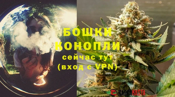 дурь Лагань