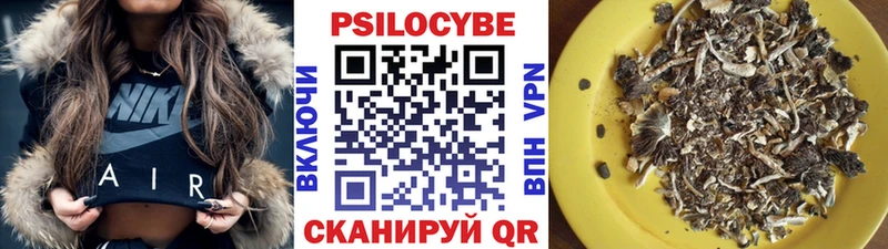 продажа наркотиков  Власиха  Псилоцибиновые грибы Psilocybe 